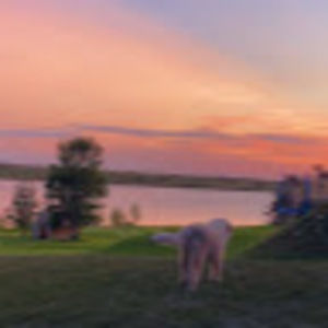 Meet your Posher, Janelle